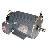 Nidec 1750 Revolutions per Minute (rpm) Base Speed Vector Drive Motor
