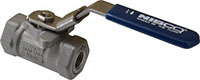 Nibco 1/4 Inch (in) Size Ball Valve (04872196)