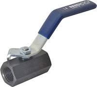 Nibco 1/2 Inch (in) Size Ball Valve (06442073)