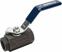Nibco 1/2 Inch (in) Size Ball Valve (06252272)