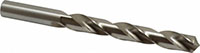 Precision Twist Drill® (01685826)