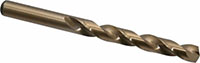 Precision Twist Drill® (01687909)