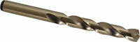 Precision Twist Drill® (01687917)