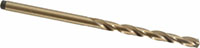 Precision Twist Drill® (01687943)