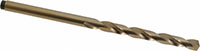 Precision Twist Drill® (01688013)