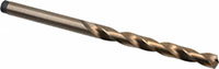 Precision Twist Drill® (01688047)