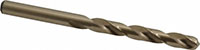 Precision Twist Drill® (01688083)