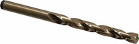 Precision Twist Drill® (01688091)