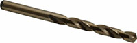 Precision Twist Drill® (01688096)
