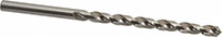 Precision Twist Drill® (01689505)