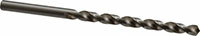 Precision Twist Drill® (01689510)