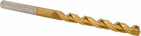Precision Twist Drill® (01691138)