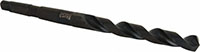 Precision Twist Drill® (01693194)