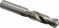 Precision Twist Drill® (01694755)