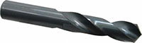 Precision Twist Drill® (01694818)