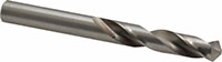 Precision Twist Drill® (01695312)