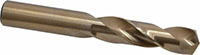 Precision Twist Drill® (01695561)