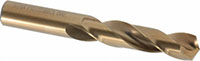 Precision Twist Drill® (01695564)