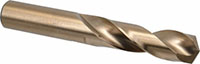 Precision Twist Drill® (01695571)