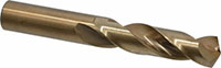 Precision Twist Drill® (01695574)