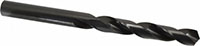 Precision Twist Drill® (01686327)