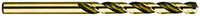 Precision Twist Drill® (01686450)
