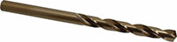 Precision Twist Drill® (01686427)