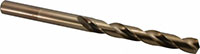Precision Twist Drill® (01686432)