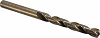 Precision Twist Drill® (01686436)