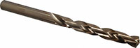 Precision Twist Drill® (01686437)