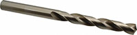 Precision Twist Drill® (01686439)