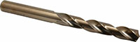 Precision Twist Drill® (01686444)
