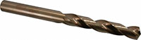 Precision Twist Drill® (01686448)