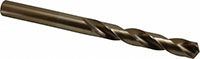 Precision Twist Drill® (01686449)