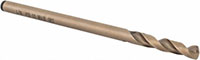 Precision Twist Drill® (01689014)