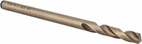 Precision Twist Drill® (01689019)