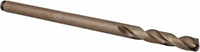 Precision Twist Drill® (01689066)