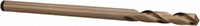 Precision Twist Drill® (01689073)