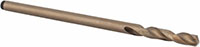 Precision Twist Drill® (01689096)