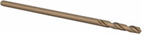 Precision Twist Drill® (01689113)