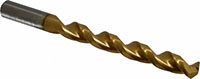 Precision Twist Drill® (01691117)
