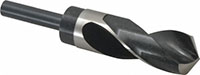 Precision Twist Drill® (01691560)