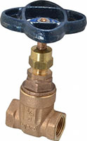 Nibco 3/8 Inch (in) Size Gate Valve (06441893)