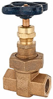 Nibco 1/2 Inch (in) Size Gate Valve (06441941)
