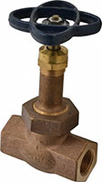 Nibco 3/4 Inch (in) Size Globe Valve (06441976)