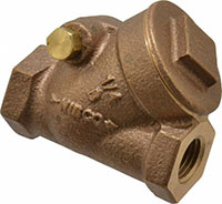 Nibco 1/4 Inch (in) Size Check Valve (06441989)