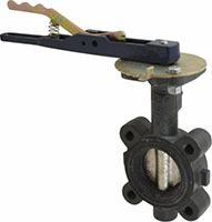 Nibco 2 Inch (in) Size Butterfly Valve (06441754)