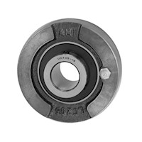 AMI 1 Inch (in) Bore Diameter Ball Bearing Cartridge (03143763)