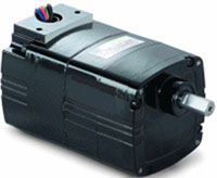 Bodine 285.0 Revolutions Per Minute (RPM) Output Speed Alternating Current (AC) Parallel Gear Motor (00533593)