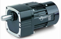 Bodine 9.4 Revolutions Per Minute (RPM) Output Speed Alternating Current (AC) Parallel Gear Motor (02056365)